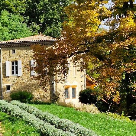 Gite Du Grand Delmas Бордо Экстерьер фото